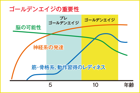 ゴールデンエイジの重要性